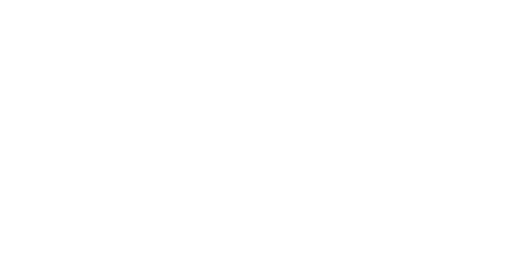 Foundry Networks Logo White