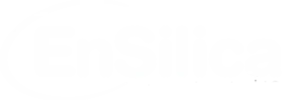 Ensilica Logo White