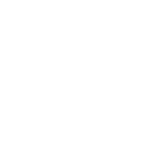 Fingerprint Cards company logo