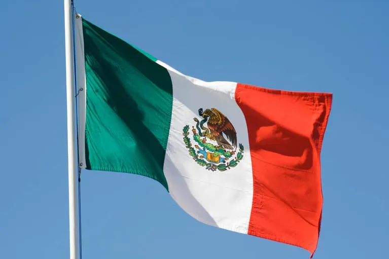 Mexico Flag