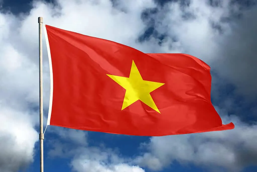 Vietnam Flag